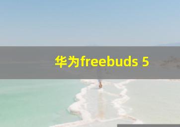 华为freebuds 5